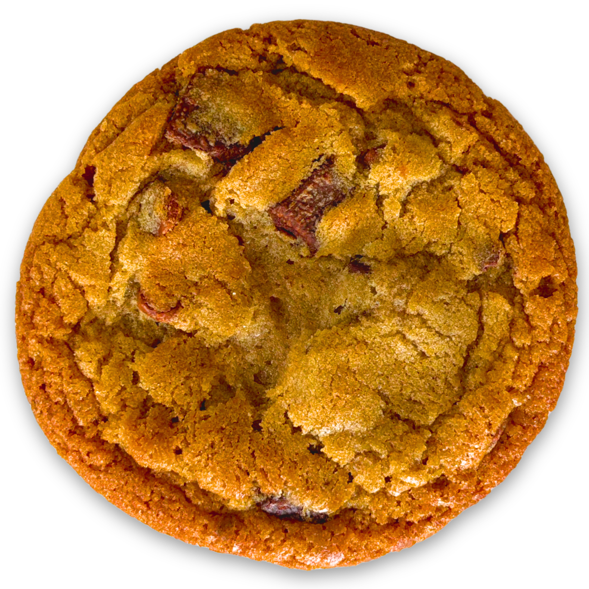 chocolate chip cookie