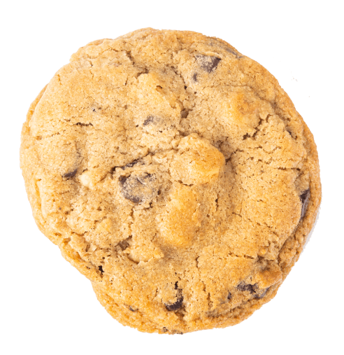Dark Chocolate Walnut