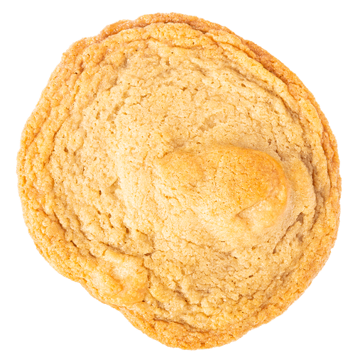 no image found
